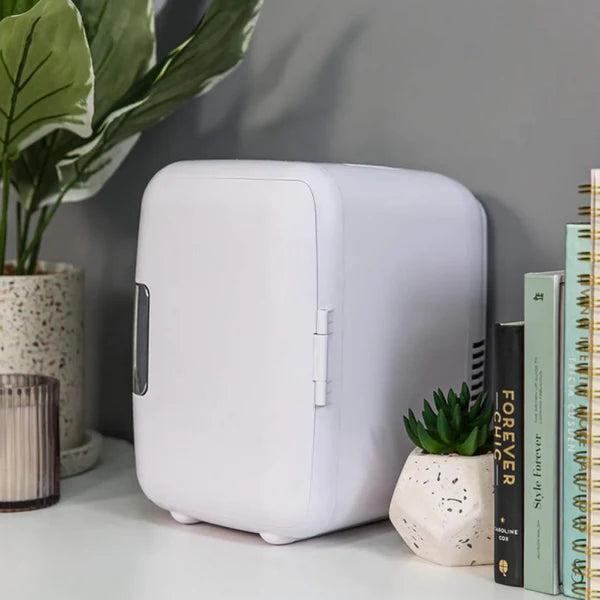 ثلاجة صغيرة متنقلة – انتعاش وبرودة في أي مكان هذا الصيف